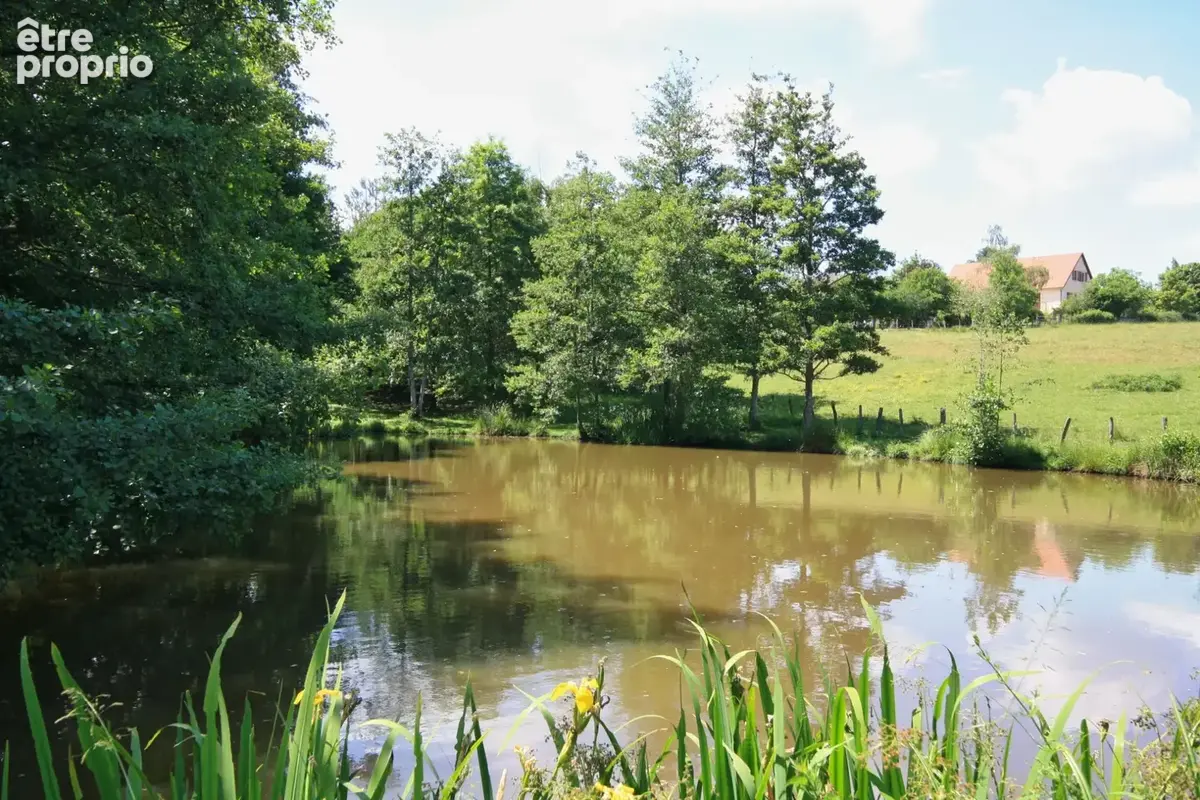 Propriété 5 chambres, avec piscine et étang sur 3 hectares de terrain - photo 2