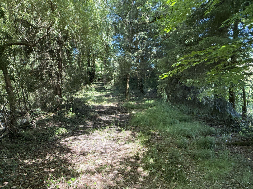 Terrain à LUBERSAC