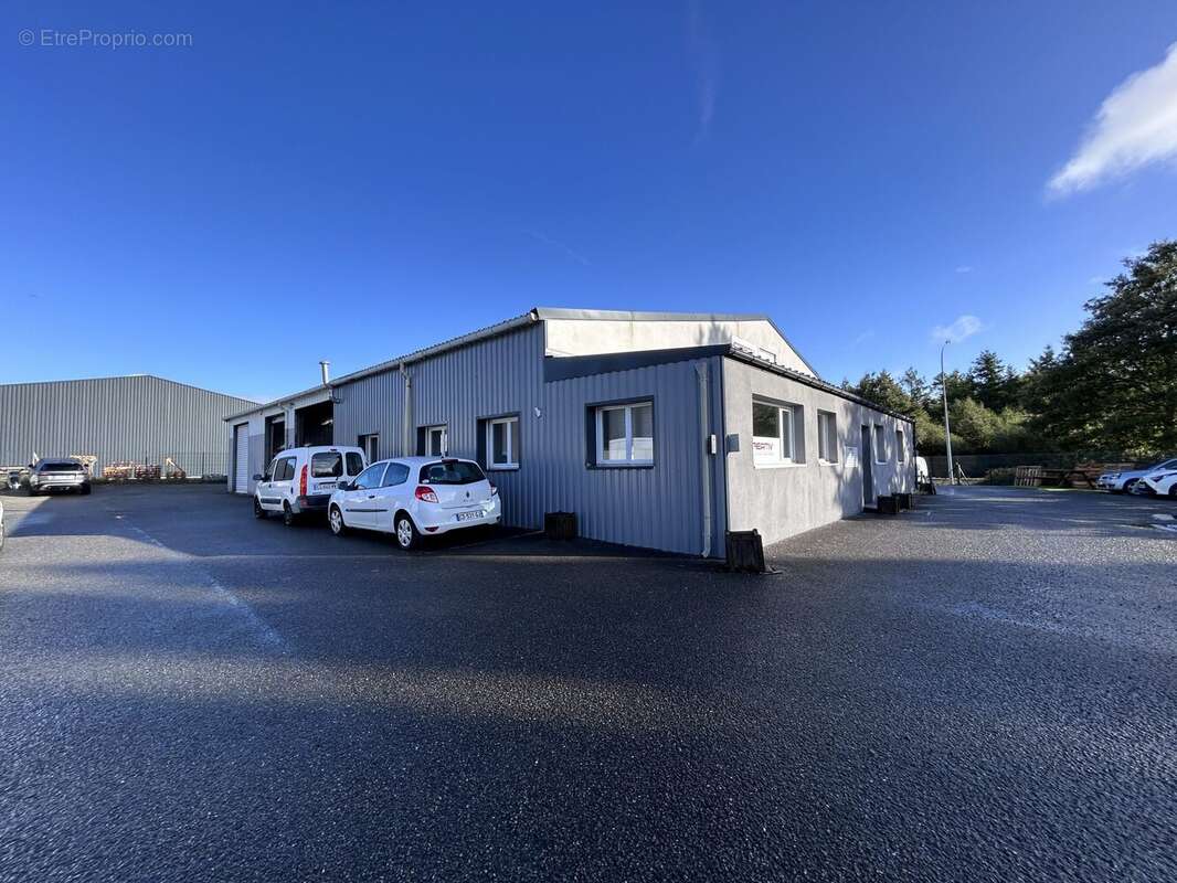 Commerce à LANESTER