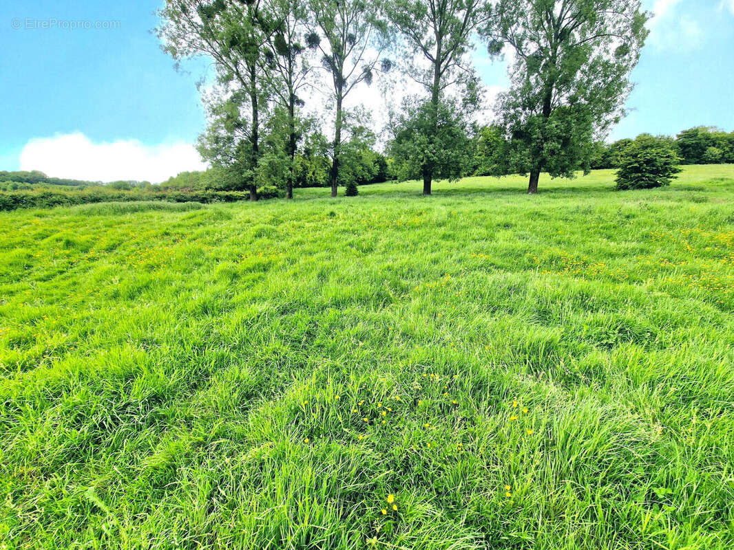 Photo 8 - Maison à CLENLEU