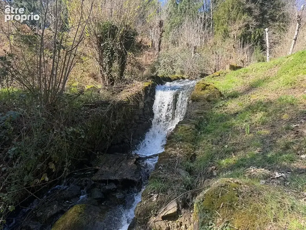Propriété de 11 hectares avec maison, dépendance, et 2 étangs, entourée de bois. - photo 3