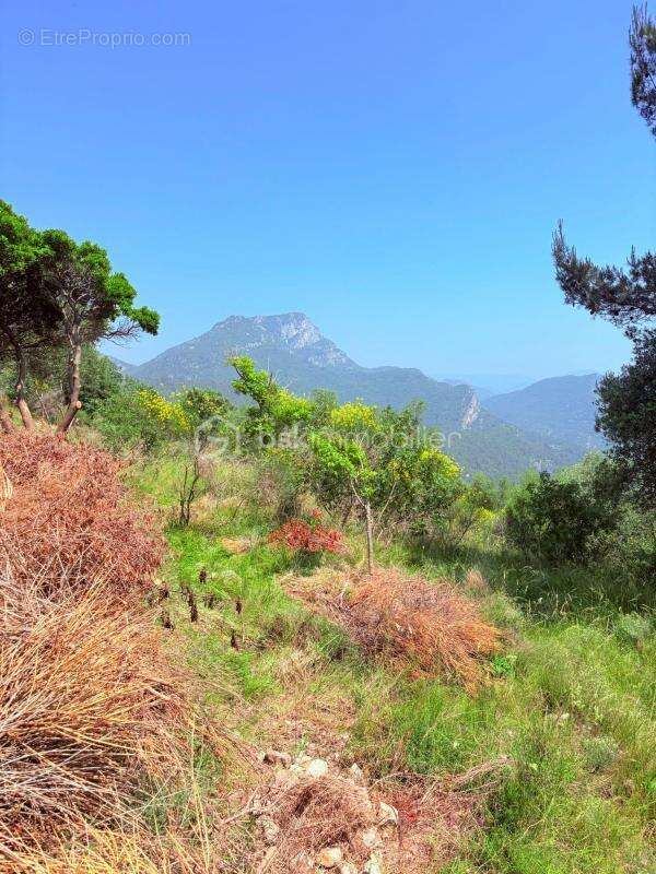 Terrain à PIERREFEU