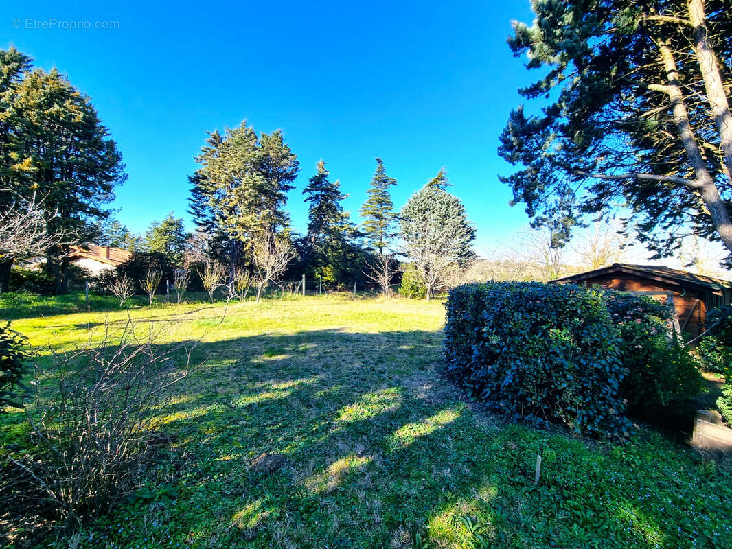 Terrain à CASTANET-TOLOSAN