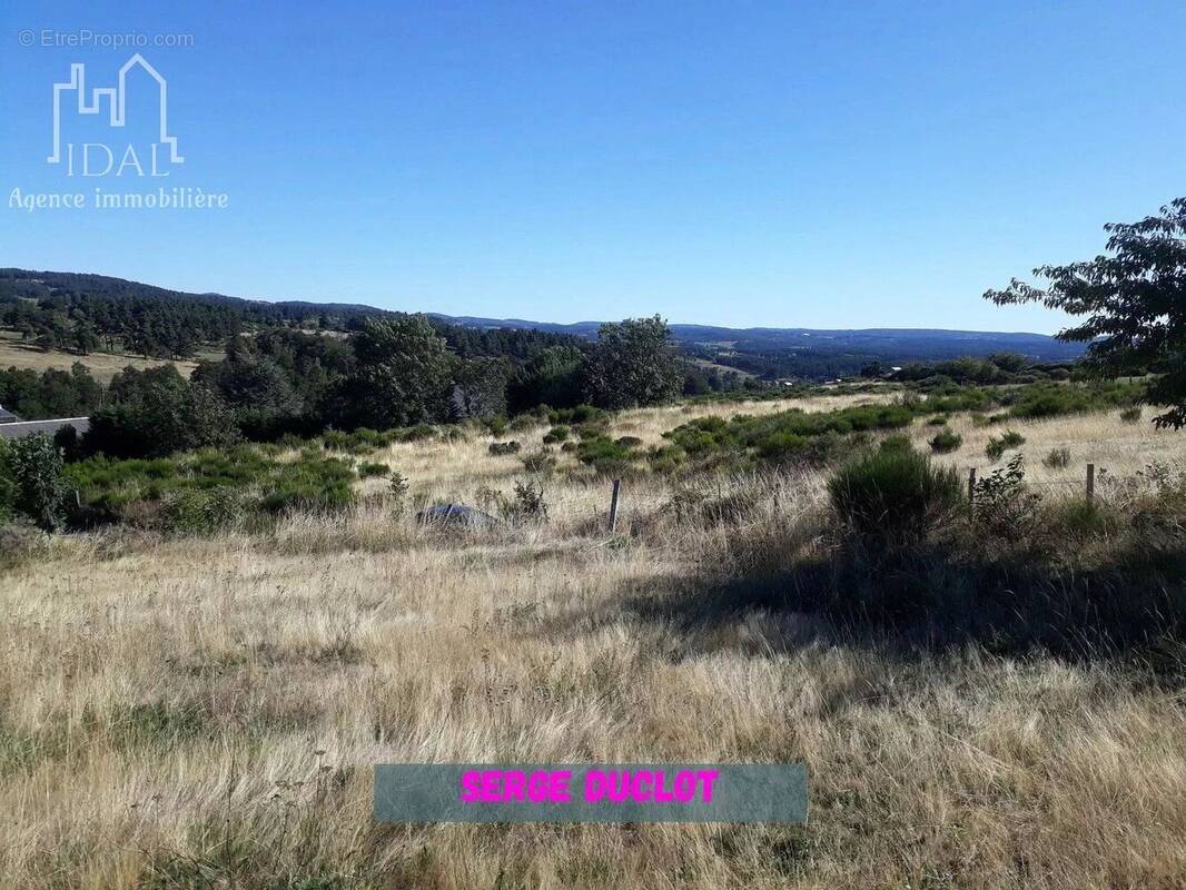 Terrain à SAINT-DENIS-EN-MARGERIDE