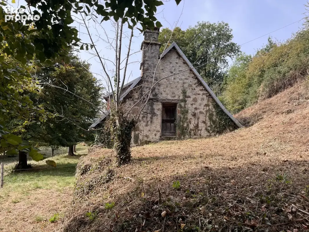 Maison 3 pièces 85 m² à vendre à Salins (15200) - photo 6