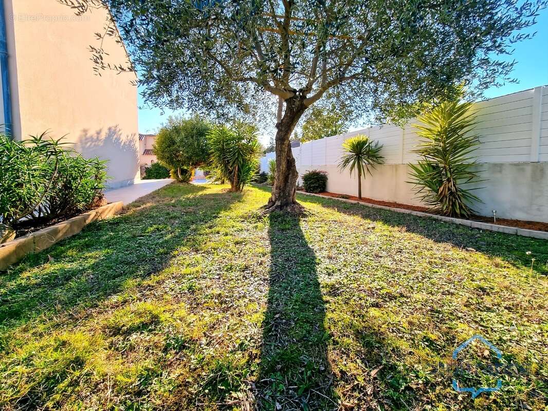 MAISON de 222m² ou double habitation - PISCINE - Terrain arboré de 830m² sans vis-à-vis - CASTRIES (34) - photo 6
