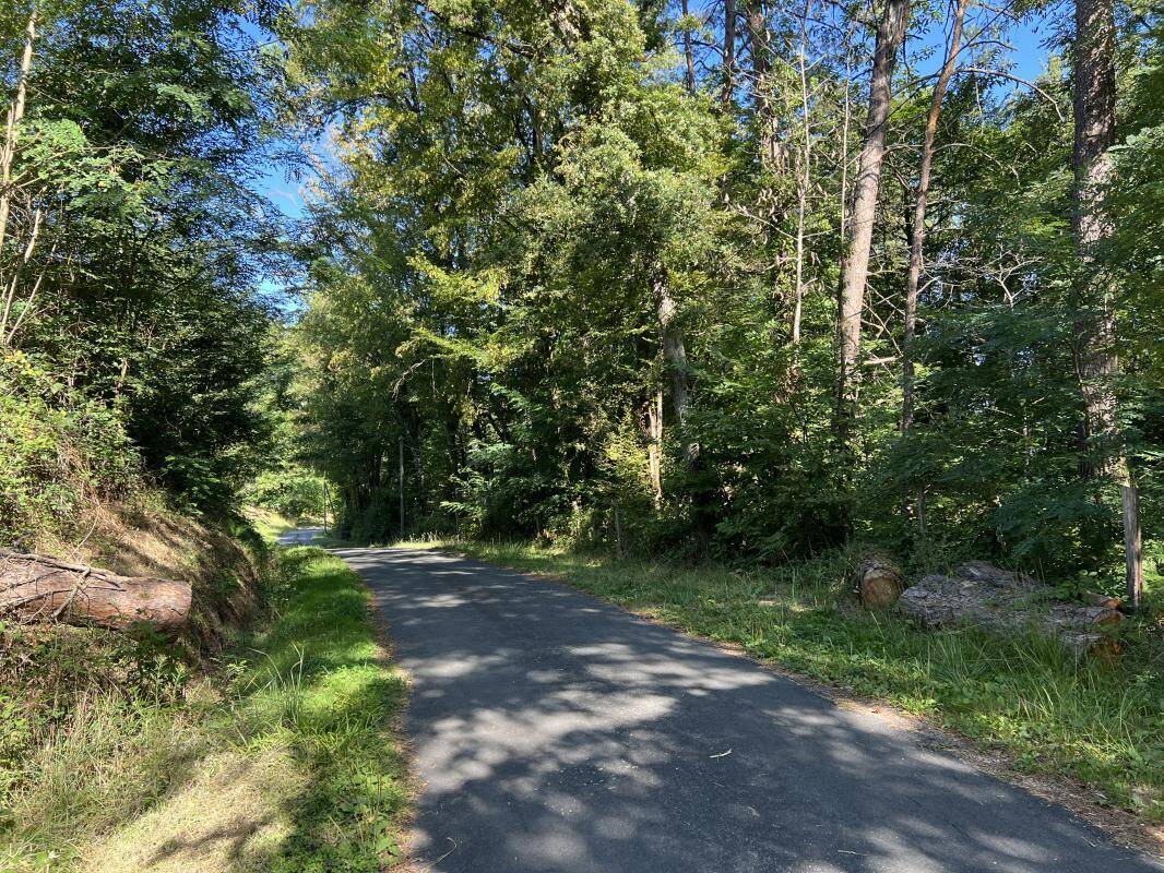 Terrain à BRIVE-LA-GAILLARDE