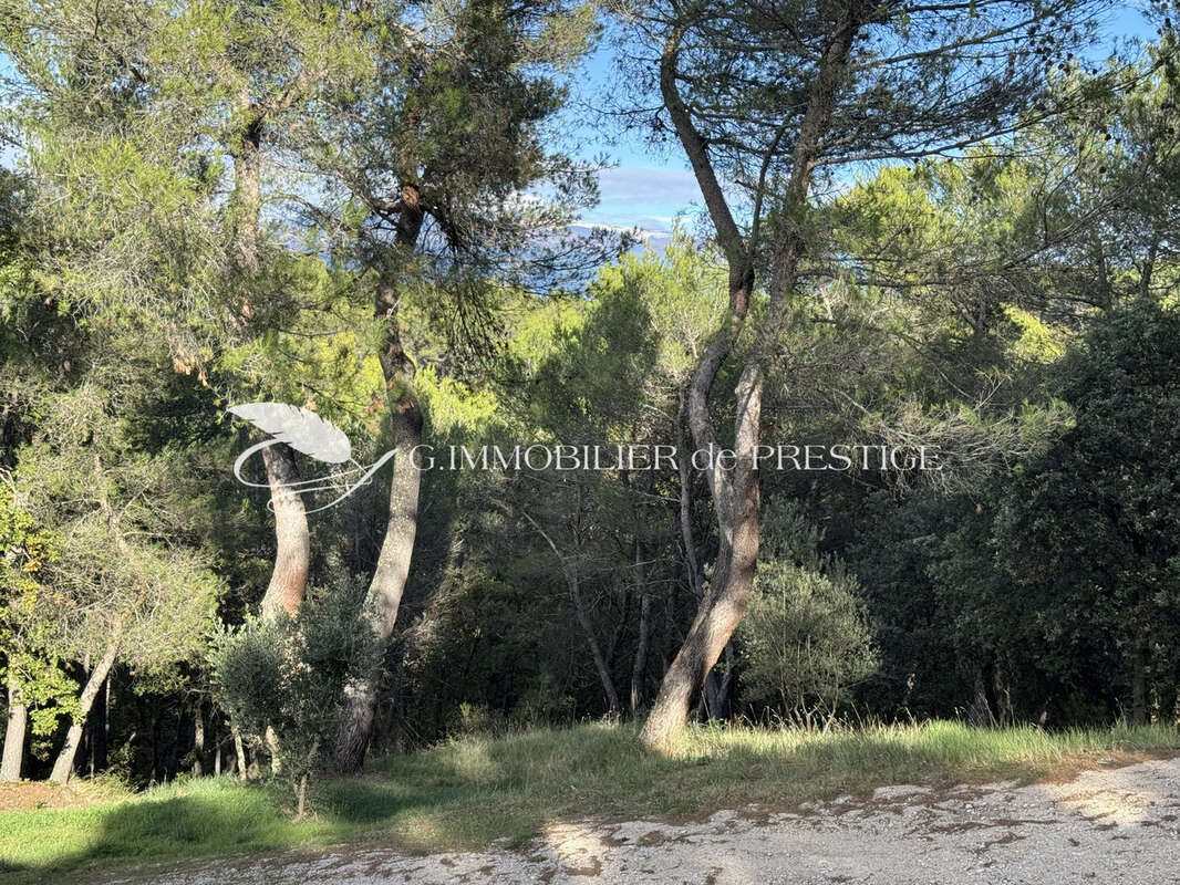 Une villa avec vue panoramique et piscine dans une pinède - photo 4