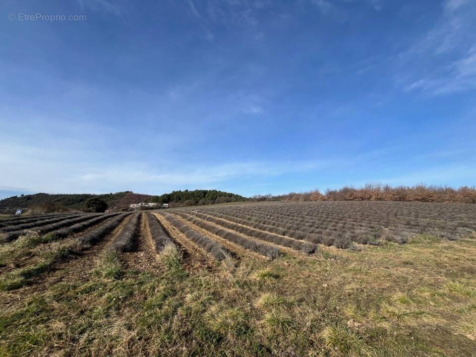 Terrain à ROUMOULES