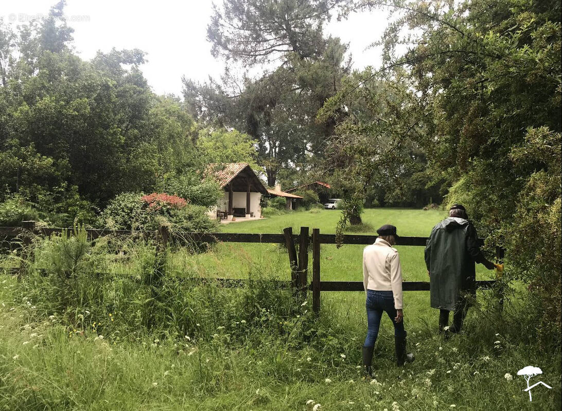 Maison à BAZAS