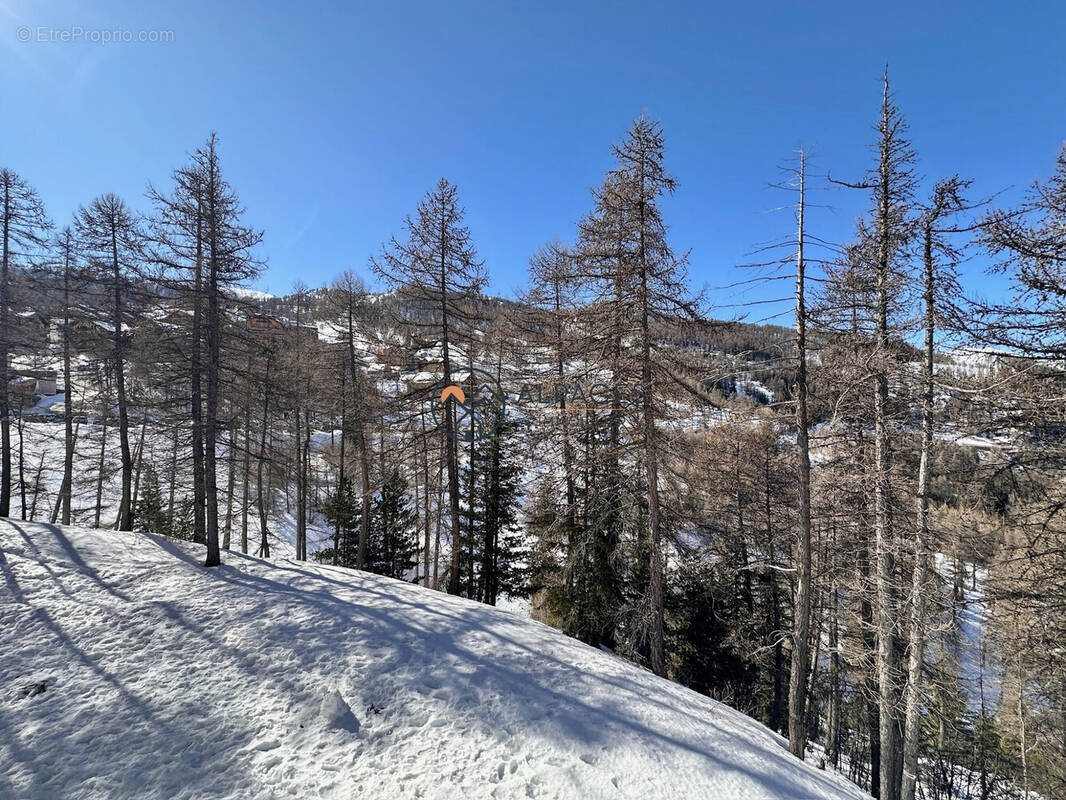 Appartement à RISOUL
