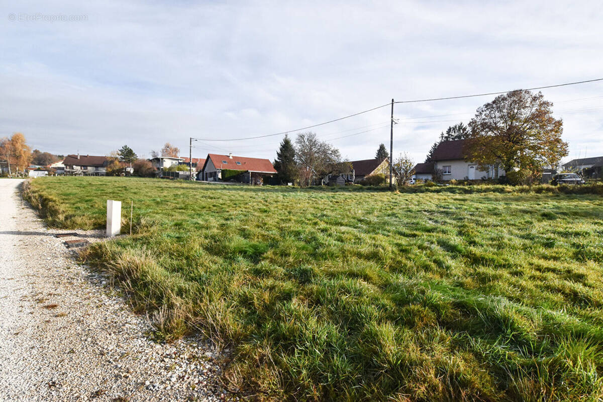 Terrain à L&#039;HOPITAL-DU-GROSBOIS