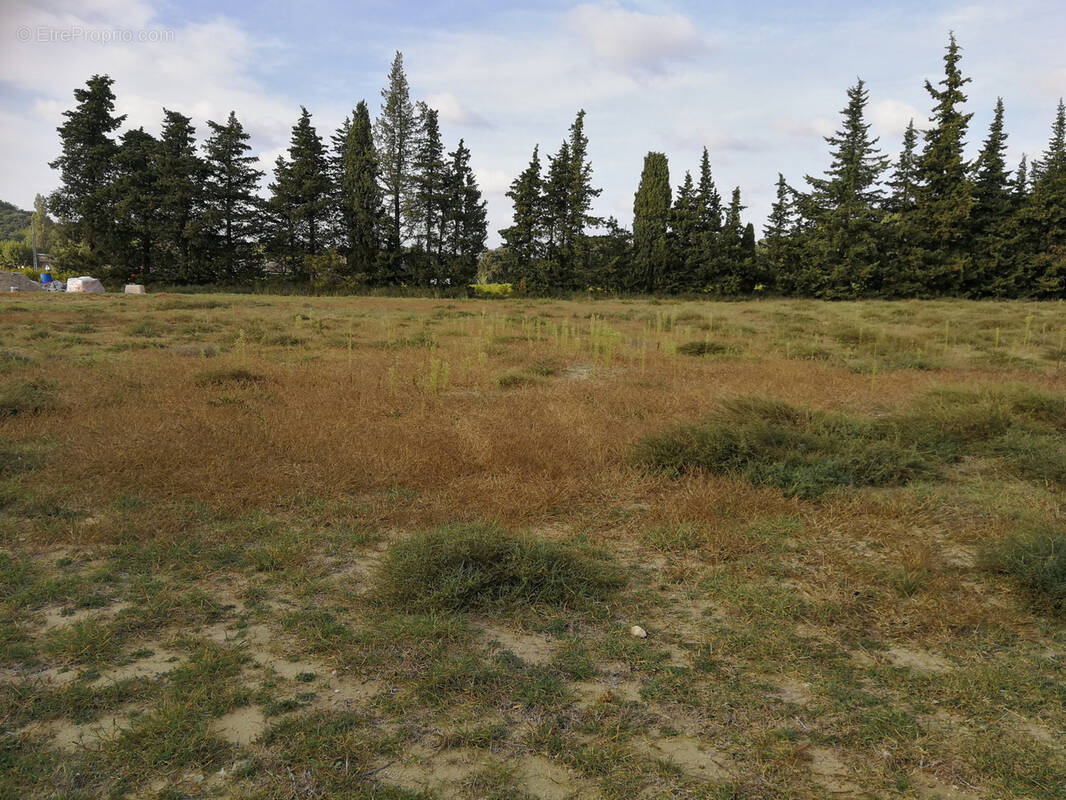 Terrain à SAINT-PAUL-TROIS-CHATEAUX