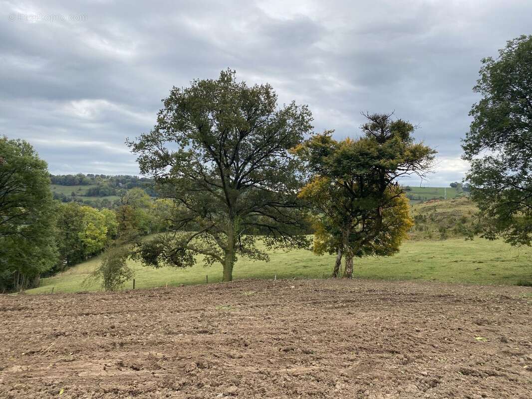 Terrain à AURILLAC
