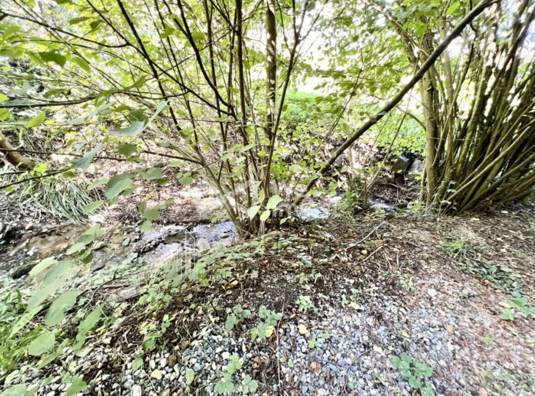 Terrain à VIENNE