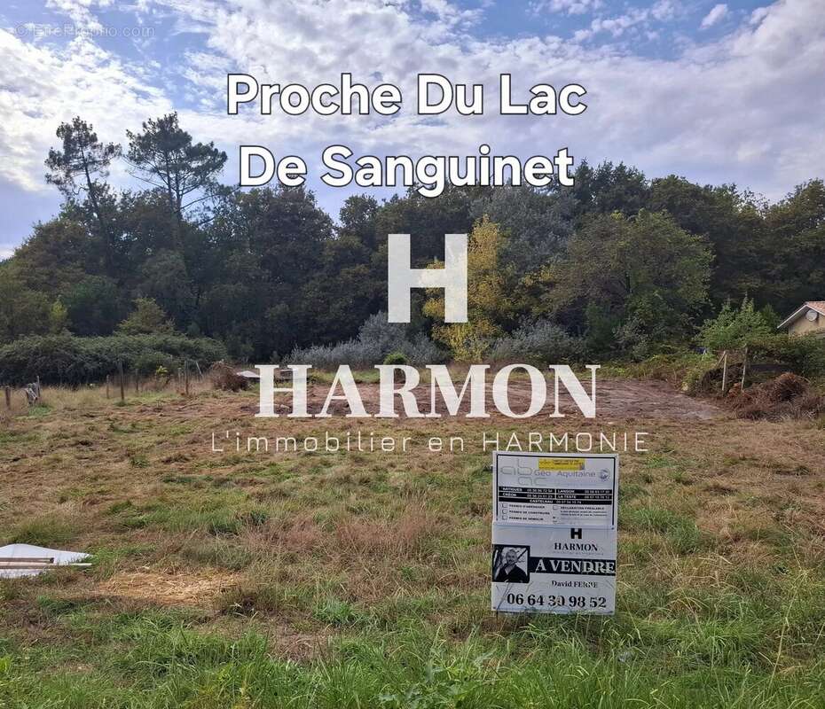 Terrain à SANGUINET