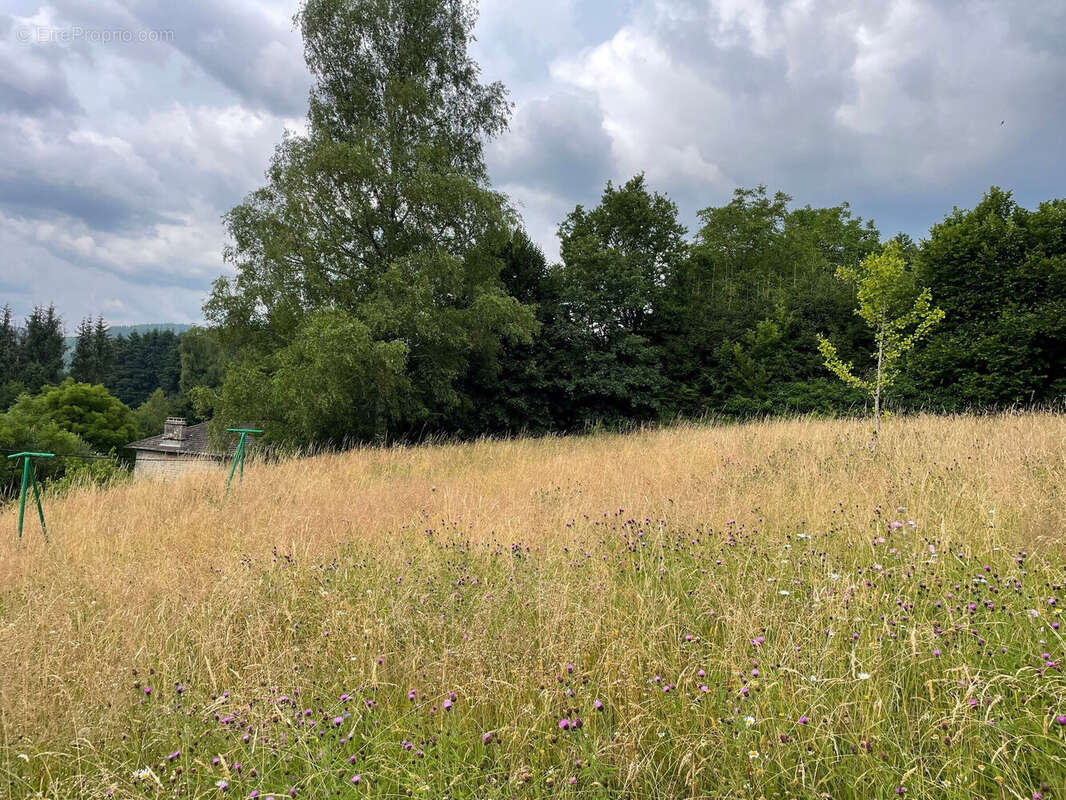 Photo 5 - Maison à NEDDE