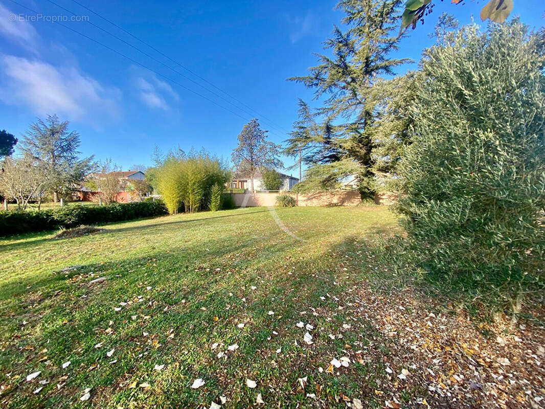 Terrain à BESSIERES