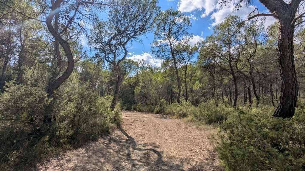 Terrain à ENTRECASTEAUX