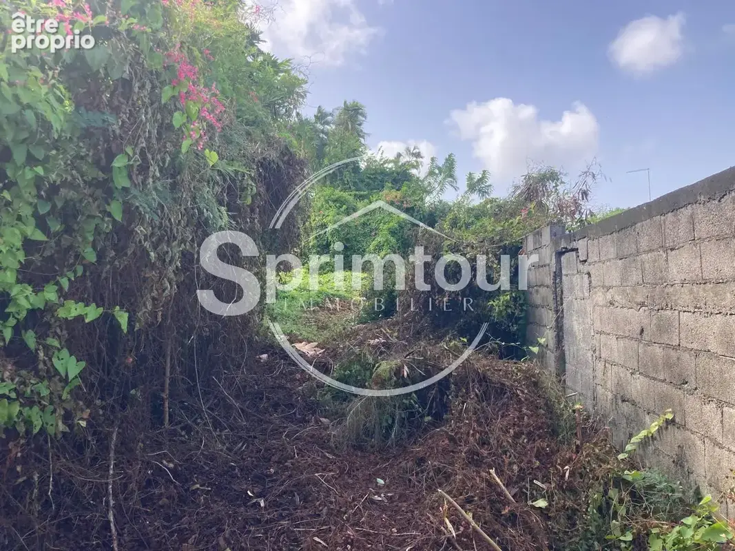 À vendre   Terrain constructible de 2999 m2 à Basse-Terre - photo 11