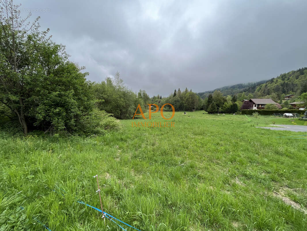 Terrain à ARACHES-LA-FRASSE