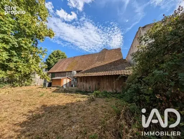 Photo 1 - Maison à OSTHEIM