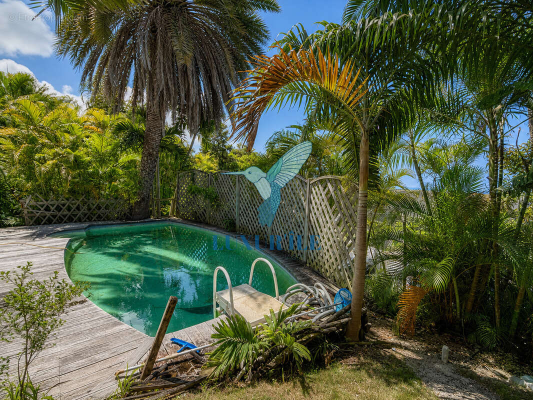 Dampierre   Le Gosier  Charmante villa 4 chambres avec piscine, jardin tropical et aperçu mer - photo 22