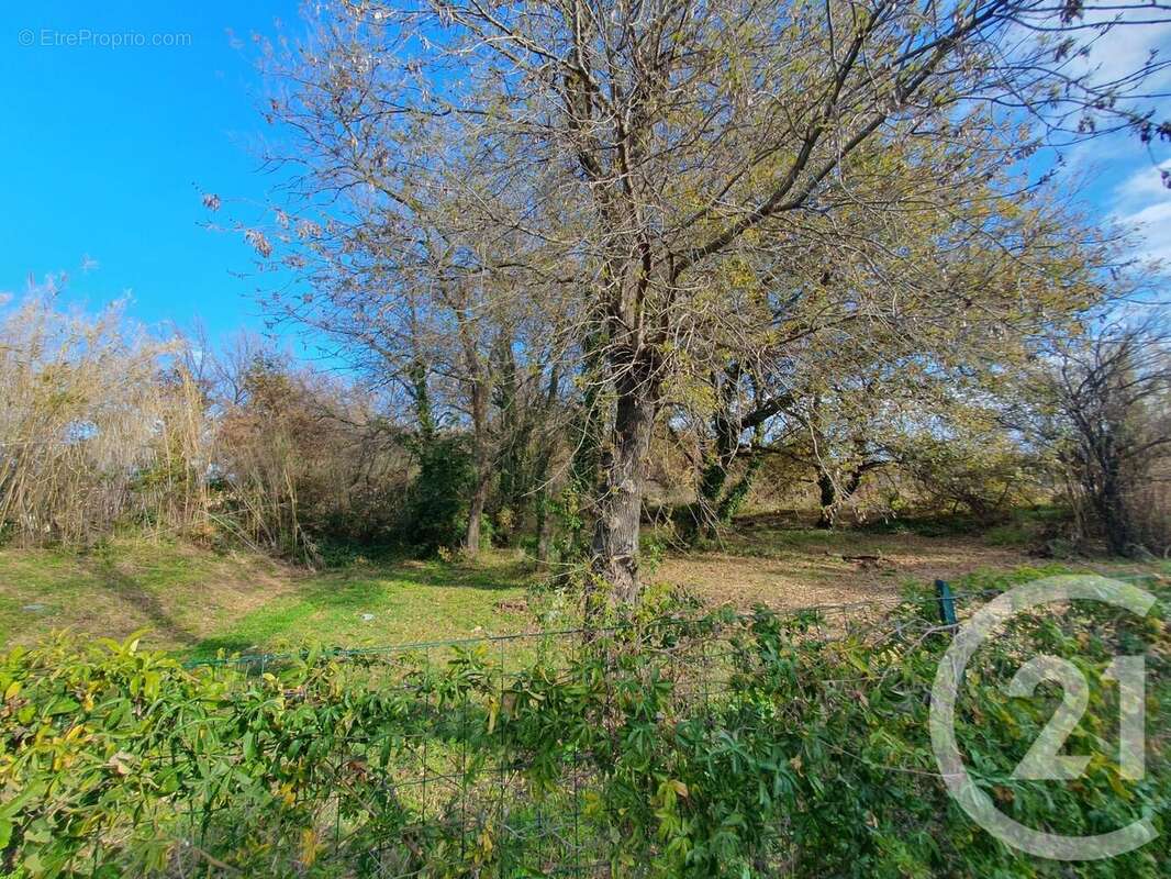 Maison à ARGELES-SUR-MER