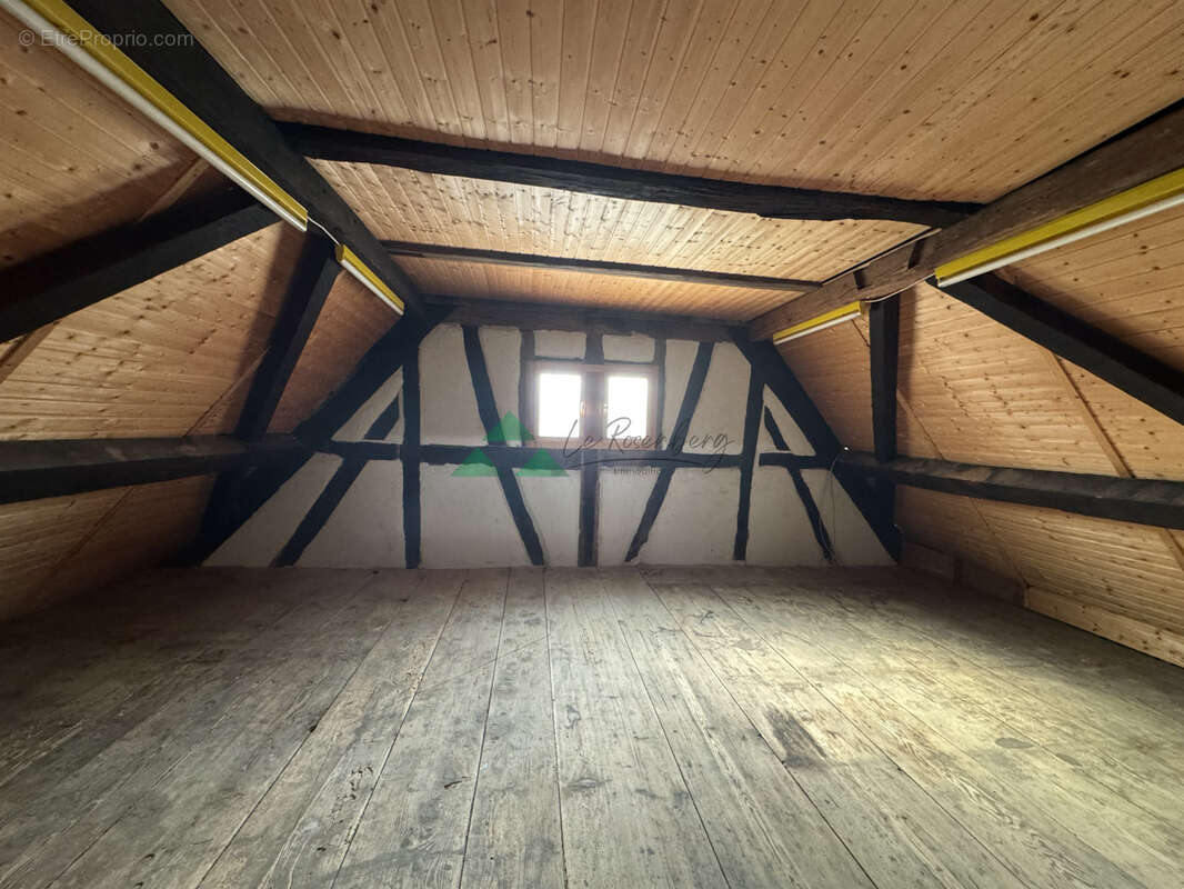maison 5 pièces sur une beau terrain de 8.29 ares - photo 9