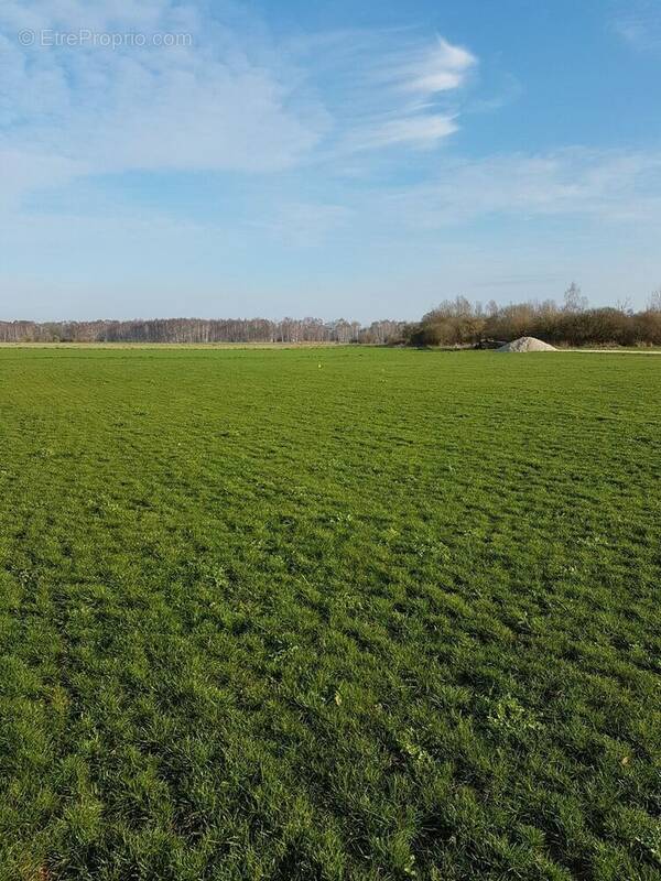 Terrain à TERMINIERS