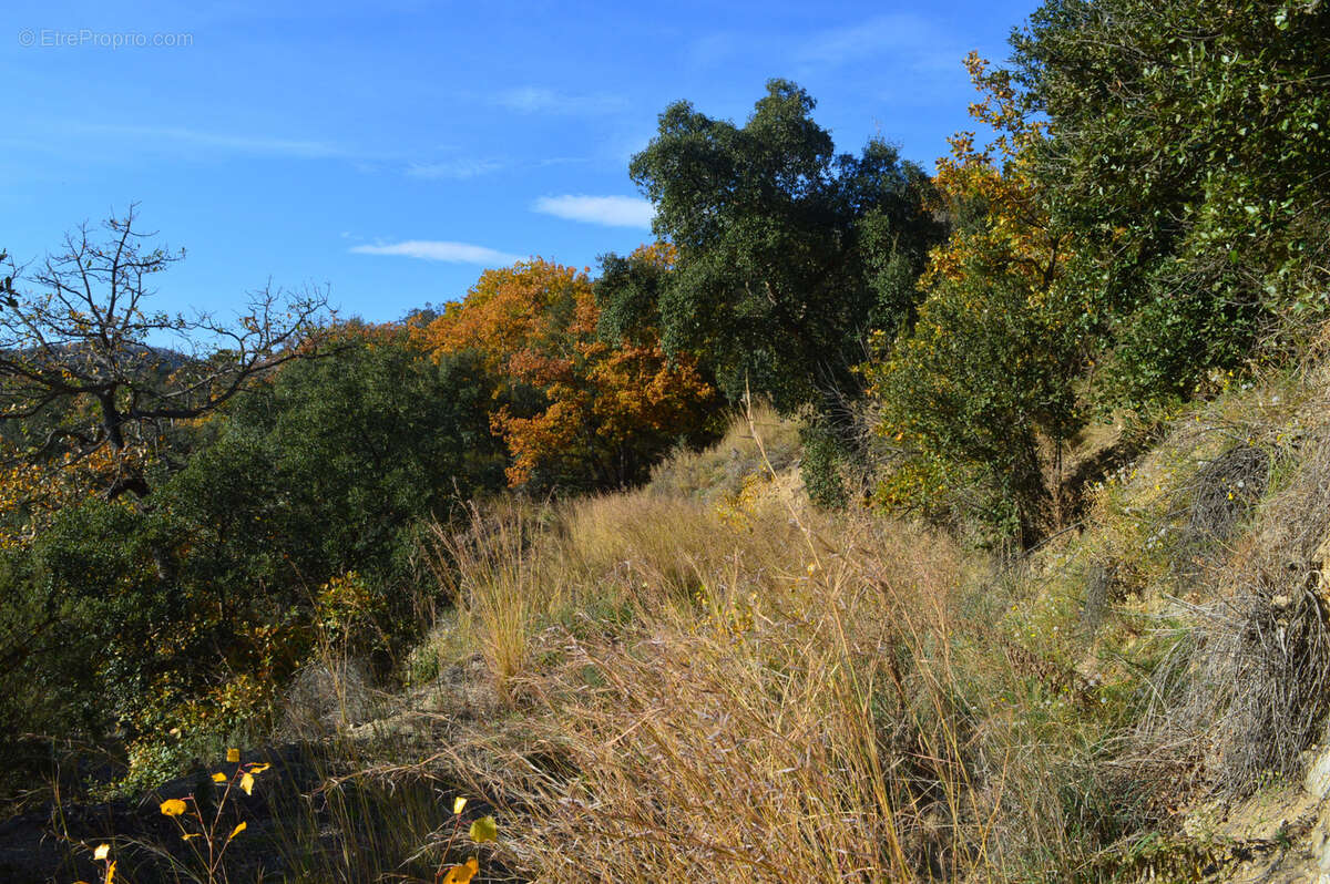 Terrain à ARLES-SUR-TECH