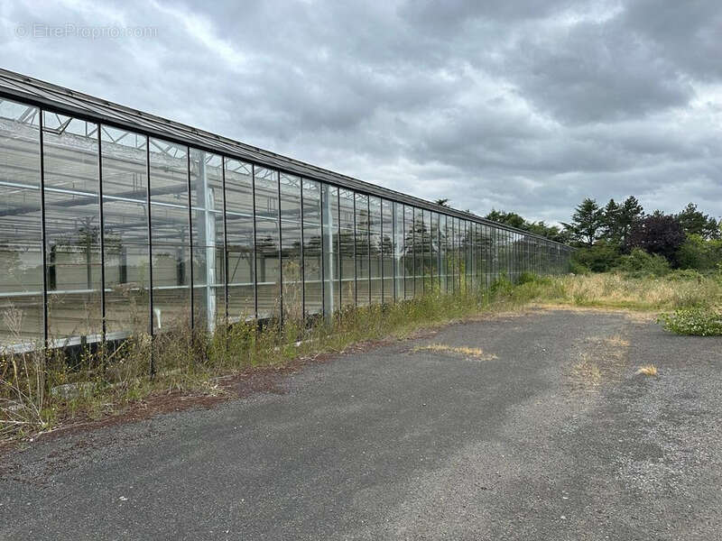 Terrain à SAINT-JEAN-DES-MAUVRETS