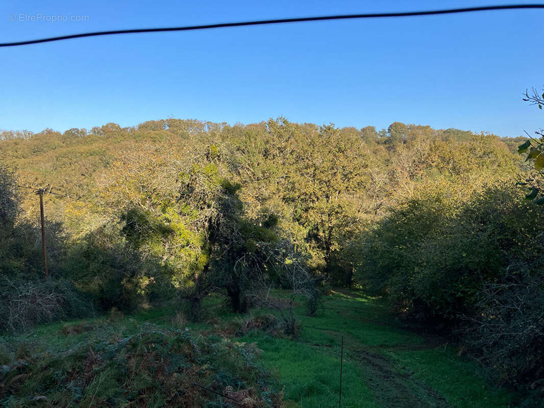 Maison à MOUTERRE-SUR-BLOURDE