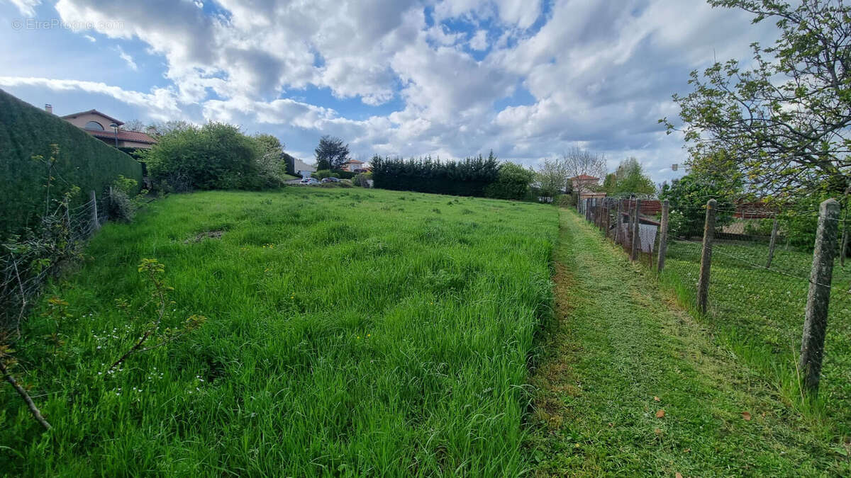 Terrain à MONTBRISON