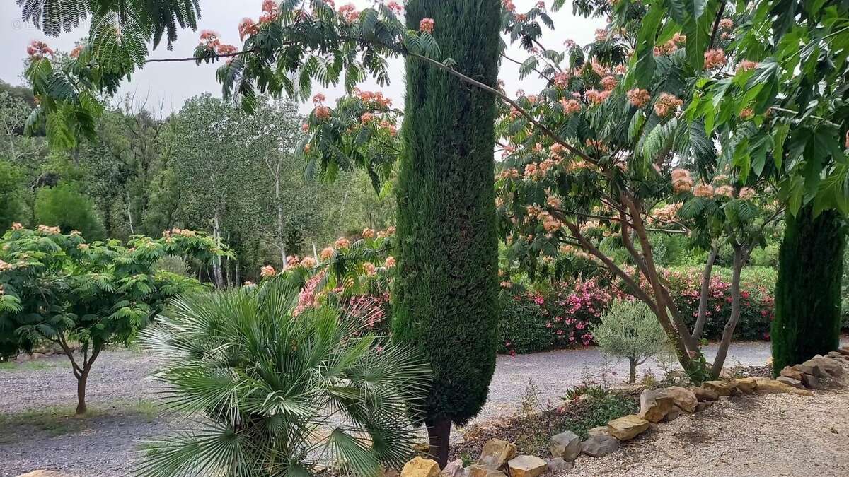 Photo 4 - Maison à ROUJAN