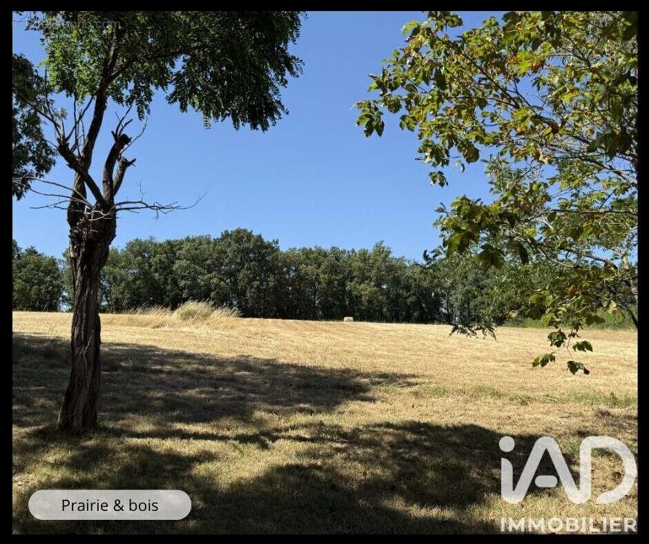 Maison 73 m² à Bragayrac  - photo 4