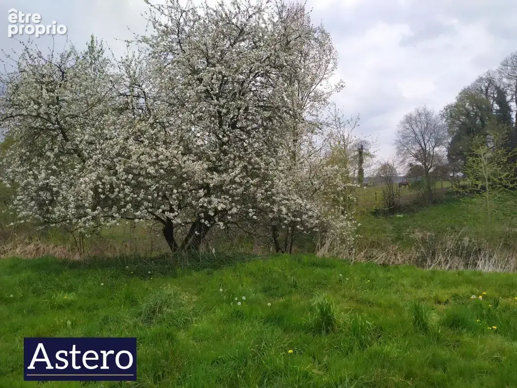 Domaine immobilier d'exception à Plémet (22210) – Un ensemble rare aux multiples possibilités - photo 12