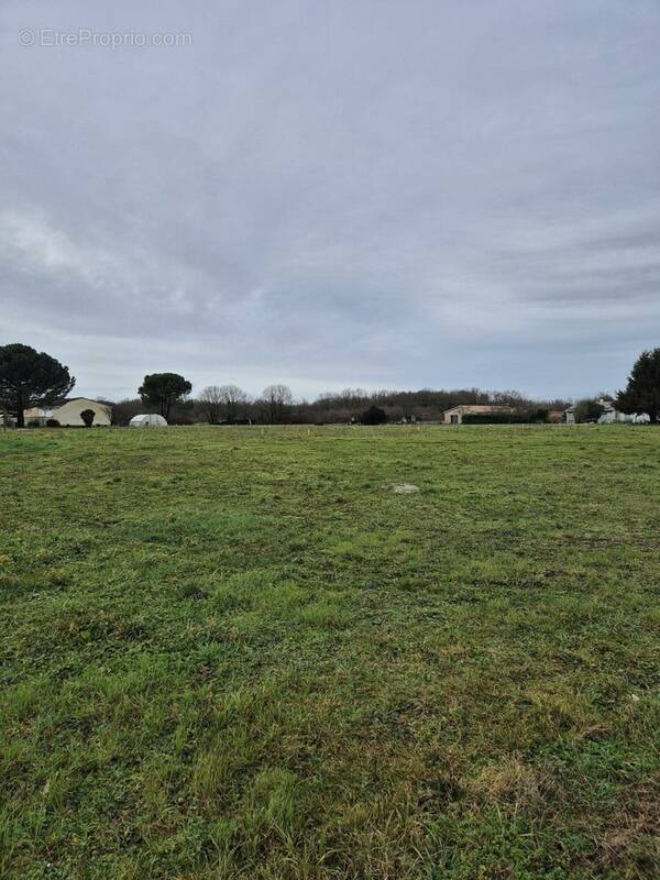 Terrain à CAMBRONNE-LES-RIBECOURT