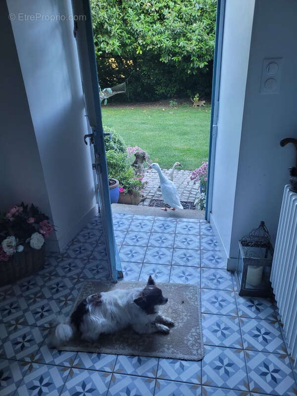 Maison à CLOHARS-CARNOET