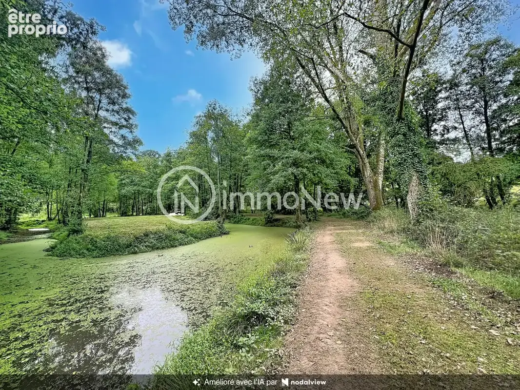 Propriété de caractère/VILLEBAUDON/6 hectares bois et forêt - photo 2