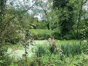 Maison à SAINTE-FOY-LA-GRANDE