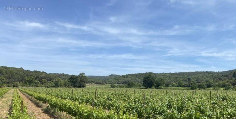 Terrain à LEZIGNAN-CORBIERES