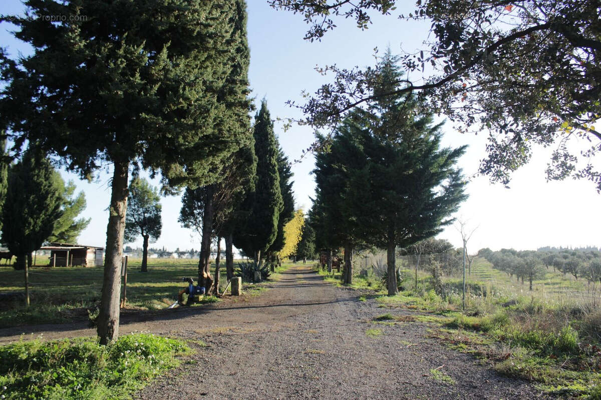 Maison à FONTVIEILLE