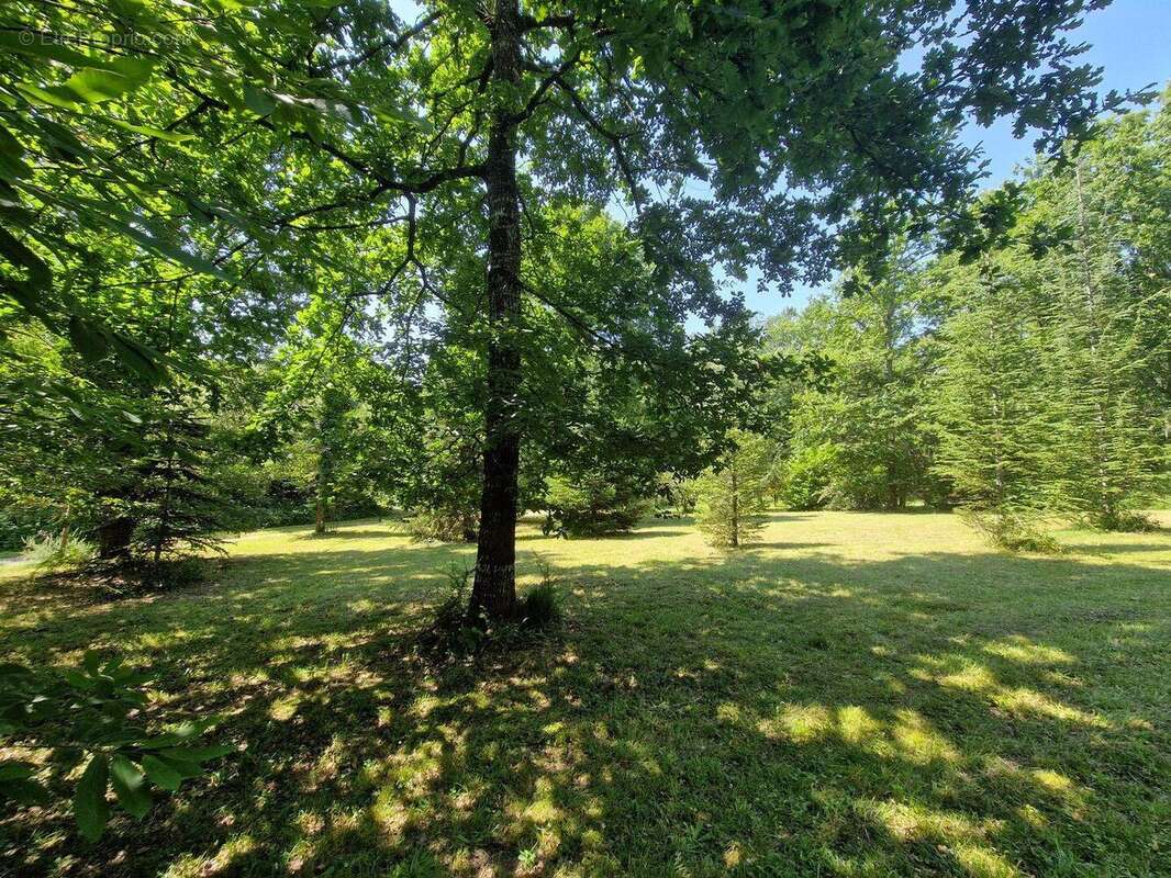 20240719124734 - Maison à LACROPTE