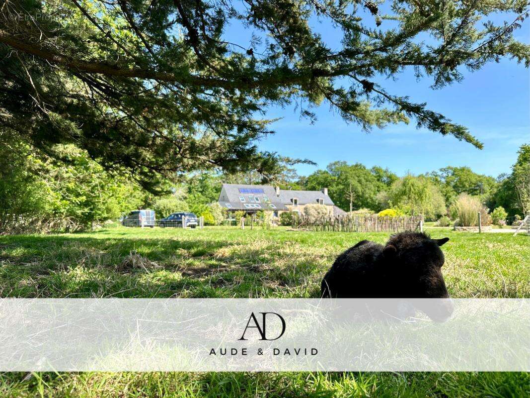 Maison à PONT-L&#039;ABBE