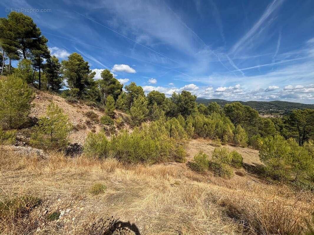 Figanières – terrain agricole et forestier de plus de 9 hectares - photo 4