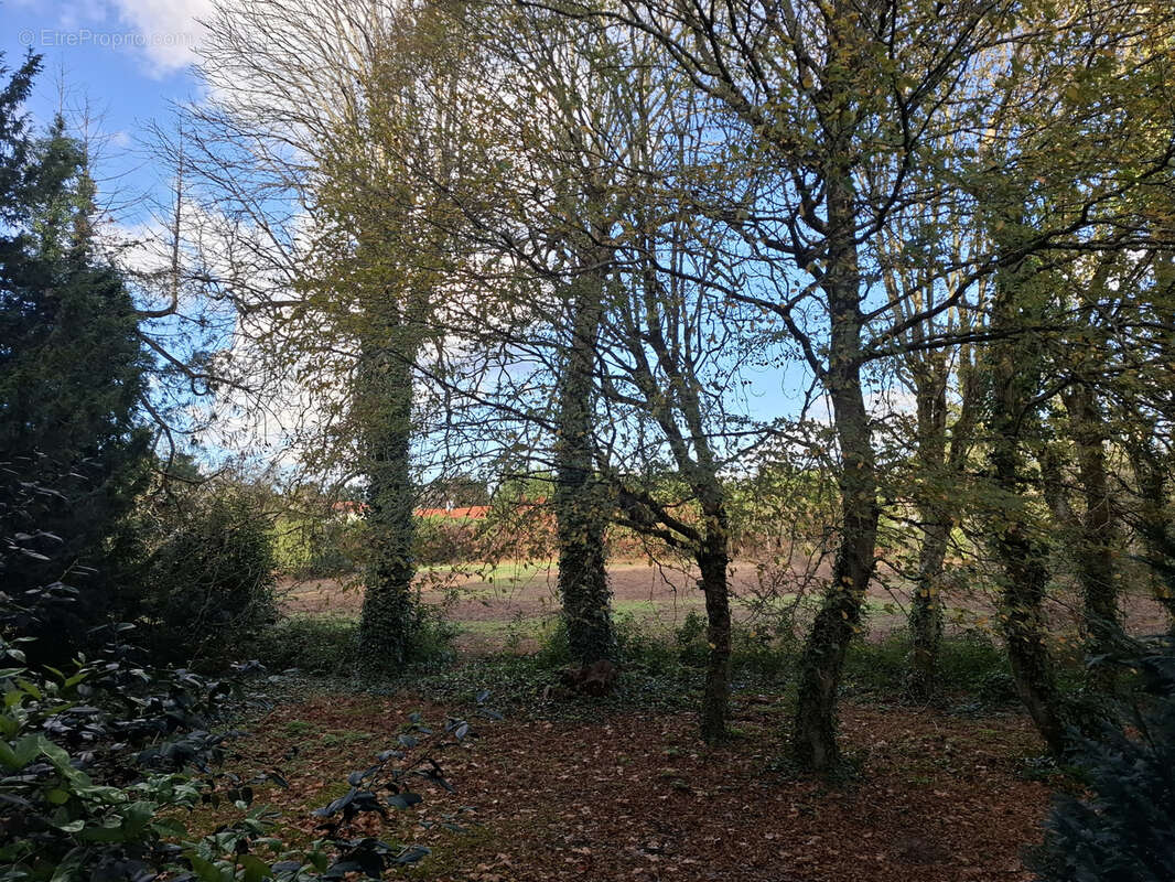 Maison à SAINT-GERVAIS