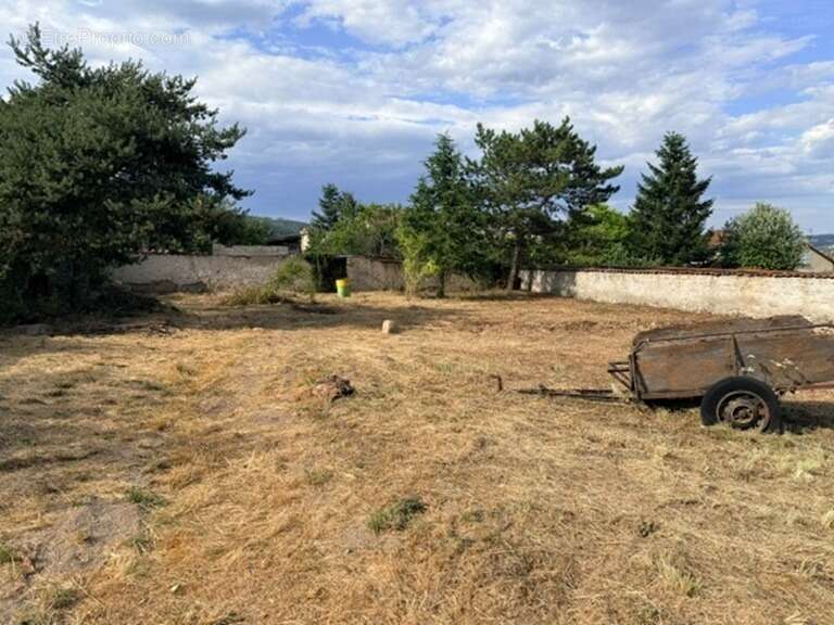 Terrain 600 m² à Bas-En-Basset  - photo 3