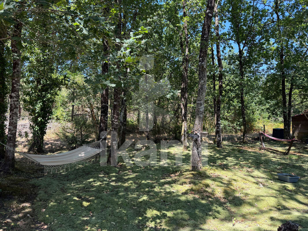 Maison familiale avec dépendances   cadre exceptionnel en lisière de forêt - photo 30