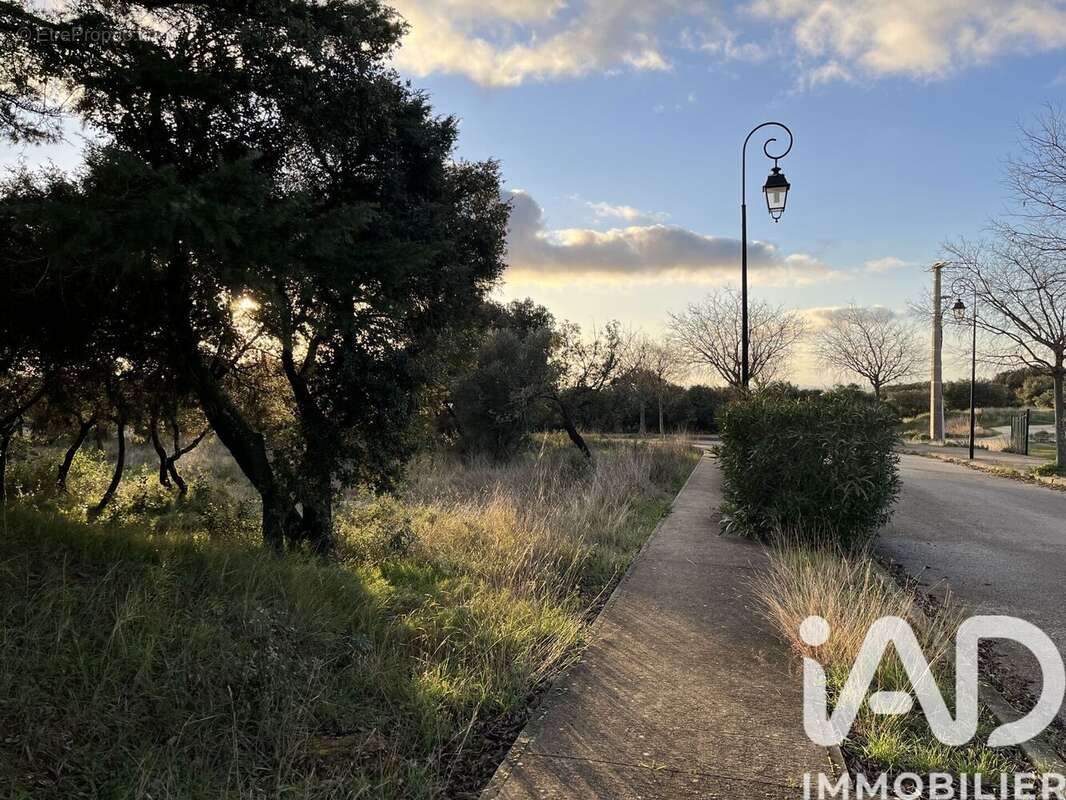 Photo 2 - Terrain à SAINT-MAXIMIN